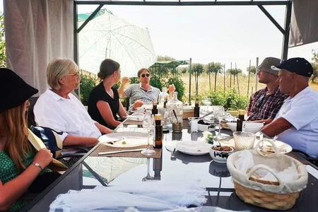 Olive oil tasting with seminar in Metagitsi - Halkidiki