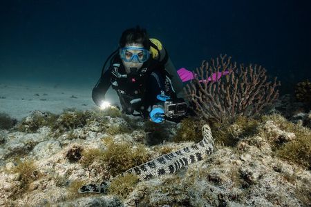 Full Day Private Scuba Diving in Espiritu Santo Island