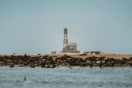 Mola Mola Marine Dolphin Cruise from the Walvis Bay Waterfront to Pelican Point