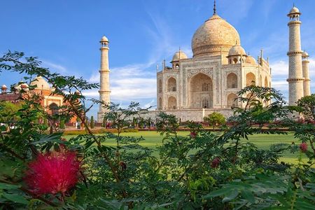 Sunrise Taj Mahal Private Tour From Delhi