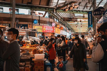 Seoul Highlights Private Walking Tour with a Guide