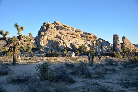 2-days Private Tour to Joshua Tree National Park from Los Angeles