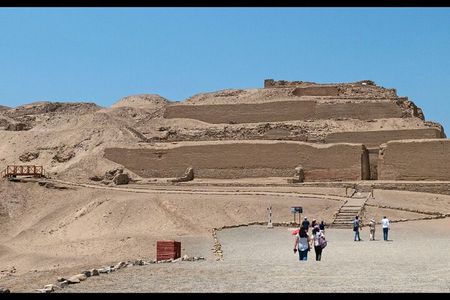 Private Tour in Pachacamac Temple and Pantanos de Villa Reserve