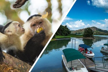 A Day With Nature: Boat Trip on Gatun Lake and The Aerial Tram