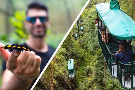 AERIAL TRAM - HALF DAY PASS Jaco