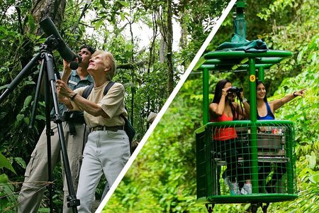 Braulio Carrillo Bird Watching Full Day Pass