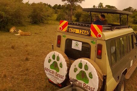 3 Days 2 Nights Masai Mara Safari staying inside the park
