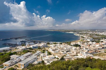 Private Excursion to Nabeul and its Suburbs 