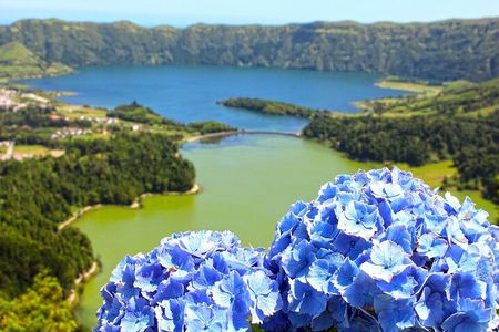 Guided visit to the Lagoon of Seven Cities volcano, São Miguel