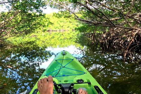 Mangrove Tunnels Pedal Kayak Eco-Tour in Anna Maria