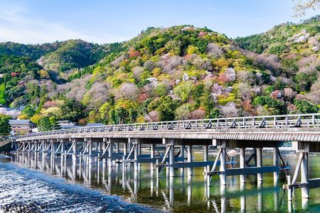 One-Day Tour of Kyoto's Highlights from Osaka/Kyoto