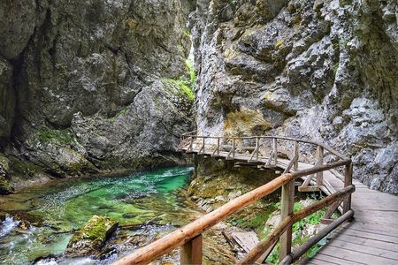 Lake Bled & Lake Bohinj & Vintgar Gorge Tour from Ljubljana