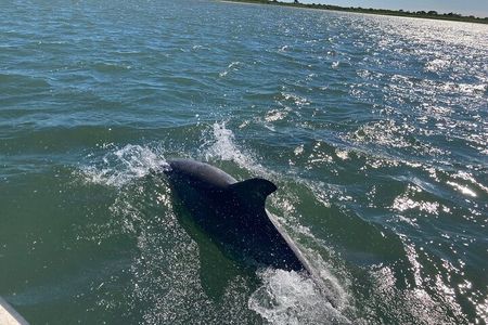 Assateague Island Cruise Departs from Ocean Pines