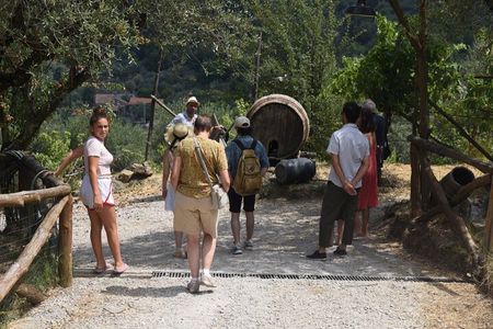 Sorrento Farm Day Tour: Pizza Class, Cheese Making, Wine, Pickup