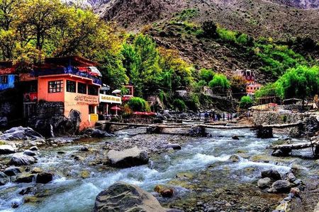 Shared Ourika Valley Tour with Lunch and Camel Riding 