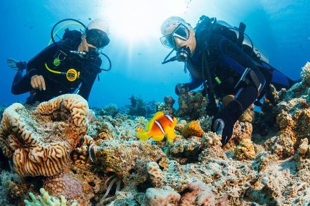 Join our Daily Diving Trip with 2 dives Transfer & Lunch-Hurghada