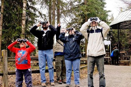 Creative Soul Scavenger Hunt Anchorage on the Tony Knowles Trail
