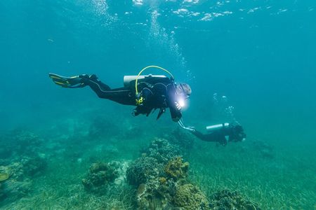 Scuba Dive in the West End of Roatan with Private Transfer