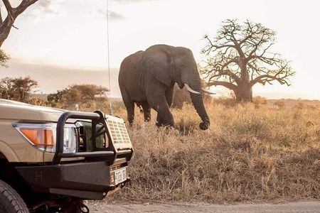 Private Tarangire National Park Day Tour