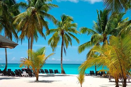 Perfect Day at Saona Island by Speedboat - Completely Private