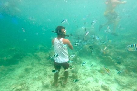 Shared El Nido Island Hopping Tour with lunch