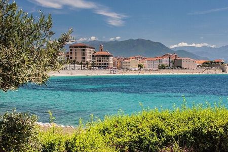 Ajaccio Must-see Attractions Private Walking Tour 