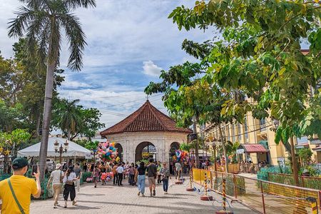 Cebu City with Sirao Garden Half Day Tour
