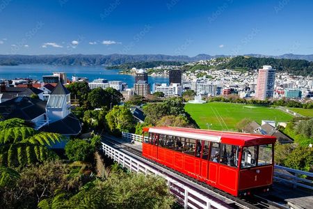 Guided Small Group Walking Tour in Wellington
