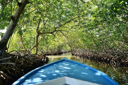 Half Day Private Roatan Cultural East Tour