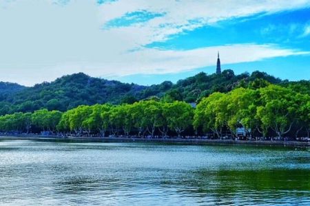 By round way bullet train from Shanghai to hangzhou day tour