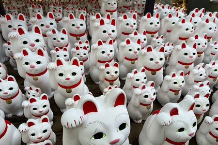 Tokyo: An Unique temple Walking Tour for cat lovers