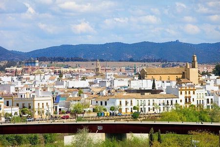 Cordoba Highlights Private Bike Tour With A Guide 
