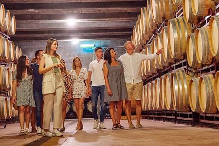 Half Day Tour of Wineries and Olive Oil with Lunch from Mendoza