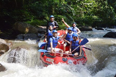 Bali Ayung River Rafting and Tanah Lot Temple Sunset Private Tour