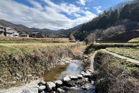 Ancient Nara Walking and Cycling Tour in Asuka