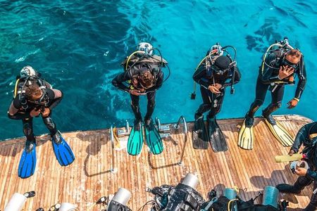 Snorkeling and Diving to Ras Mohamed And White Island by VIP Boat
