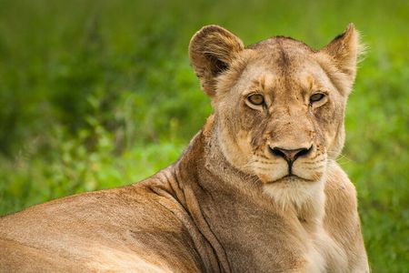 Nairobi National park And Giraffe Center: Free Wi-Fi Connection