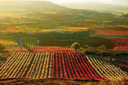 Rioja wine region with visit to winery & Vitoria-Gasteiz