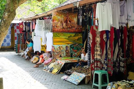 Ubud Experience ; Swing, Waterfalls, Art Market, Rice Terrace