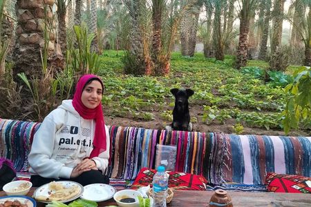 Saqqara, Dahshur - 10%to stray dogs and cats 