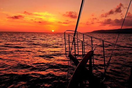 Queen Bee Sunset Cruise with Swim Stops and Dinner 