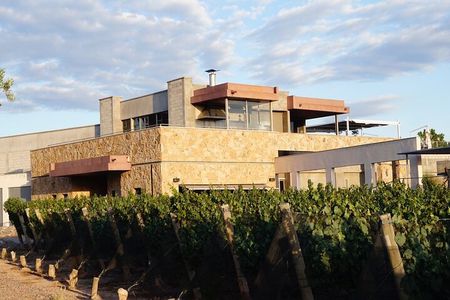 Mendoza Wine Tour with Lunch