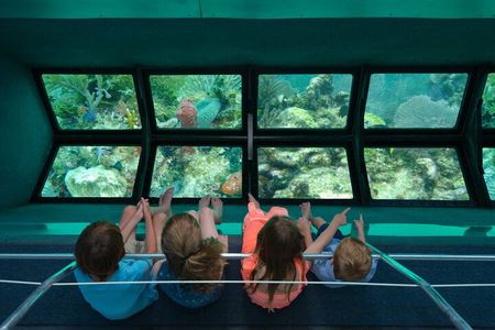 Key West Glass-Bottom Boat Tour with Sunset Option