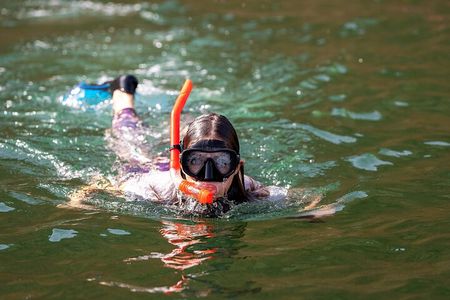 Sea Wonders Dolphin Watching and Snorkeling in Muscat
