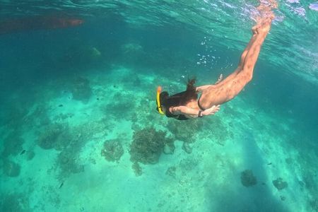 Private Island Hopping from Port Barton with Turtle Watching