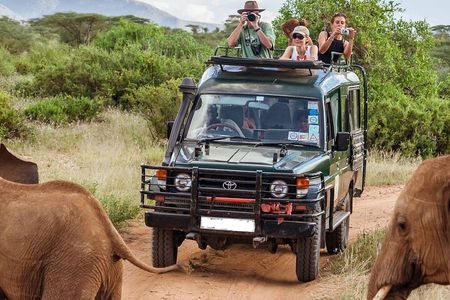 5 Days Mombasa,Tsavo East, Taita Salt Lick, Tsavo West, Amboseli,