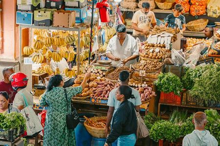 Mauritius Private North Tour: Port Louis, Garden & Grand Baie