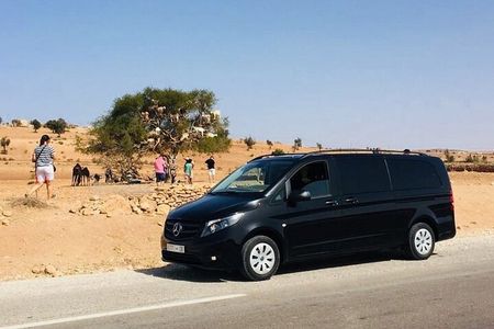 A drive outside Essaouira and a visit to the argan trees