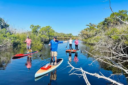 Ormond Beach Manatee and Nature Tour Kayaking or Paddle Boarding