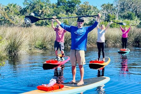 Ormond Beach Manatee and Nature Tour Kayaking or Paddle Boarding